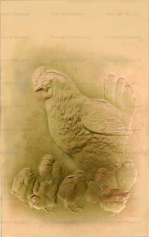 nj001-鶏とひよこ　i